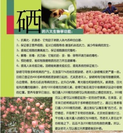 富硒健康禮，聚匯網(wǎng)上選——煙臺(tái)人的品質(zhì)生活新標(biāo)桿